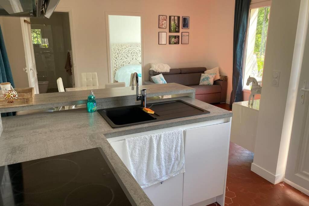 Petite Maison De Charme - Le Jardin Secret D'Alice Roquebrune-sur Argens Luaran gambar